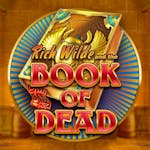 Book of Dead: Alt om spillet og på hvilket casino du kan spille Book of Dead