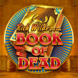 Book of Dead: Alt om spillet og på hvilket casino du kan spille Book of Dead